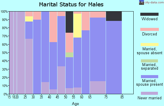 Zip code 37342 marital status for males