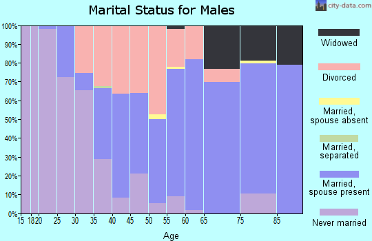 Zip code 37347 marital status for males
