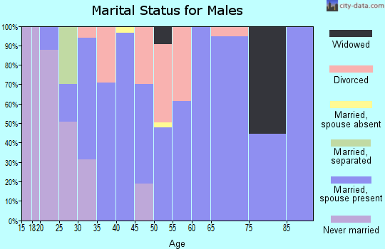 Zip code 37353 marital status for males
