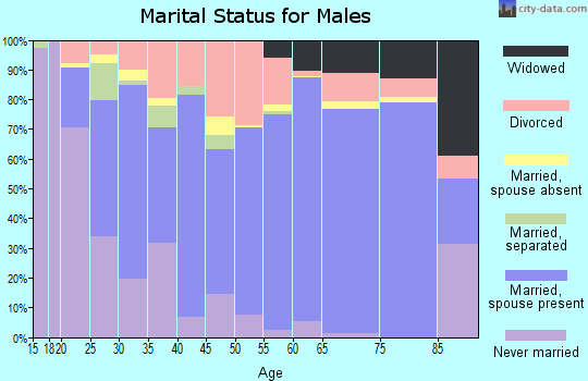 Zip code 37355 marital status for males