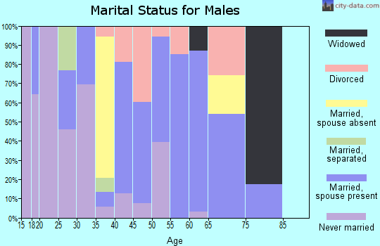 Zip code 37365 marital status for males