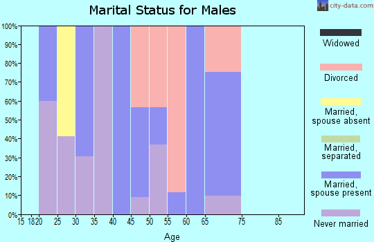 Zip code 37366 marital status for males