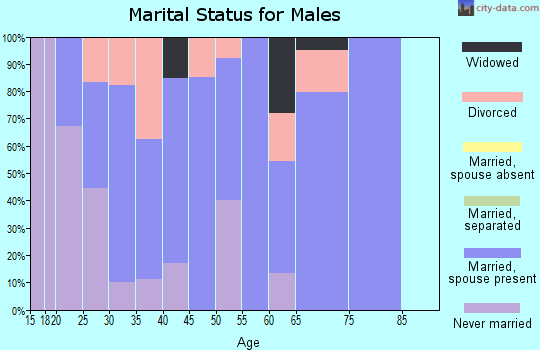 Zip code 37370 marital status for males