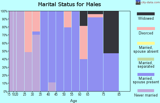 Zip code 37373 marital status for males
