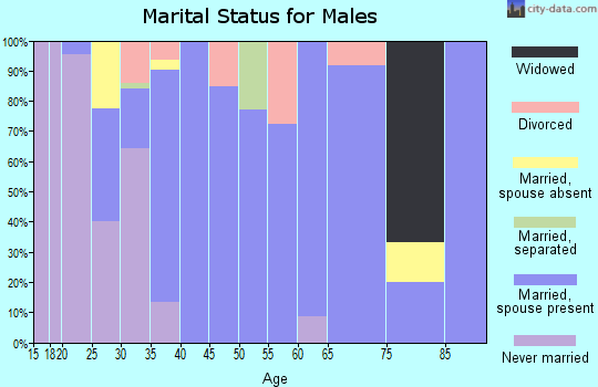 Zip code 37375 marital status for males