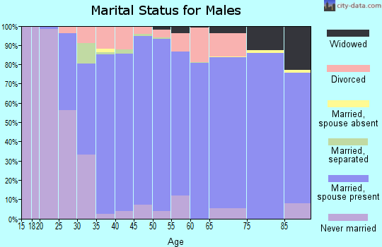 Zip code 37377 marital status for males