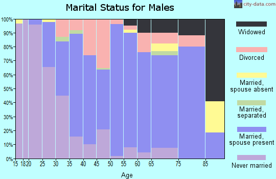 Zip code 37380 marital status for males