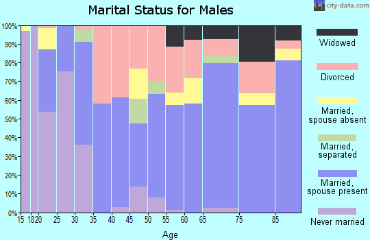 Zip code 37381 marital status for males