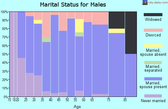Zip code 37385 marital status for males