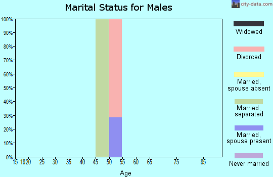 Zip code 37396 marital status for males
