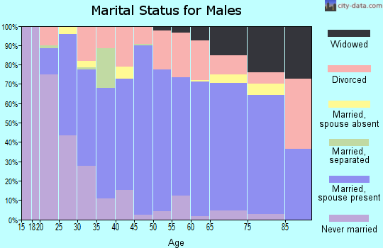 Zip code 37397 marital status for males