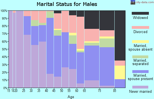 Zip code 37406 marital status for males