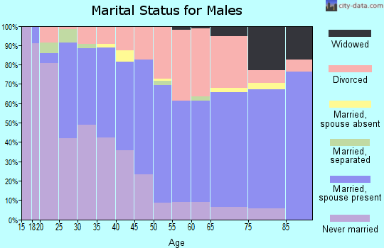 Zip code 37412 marital status for males
