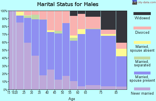 Zip code 37601 marital status for males
