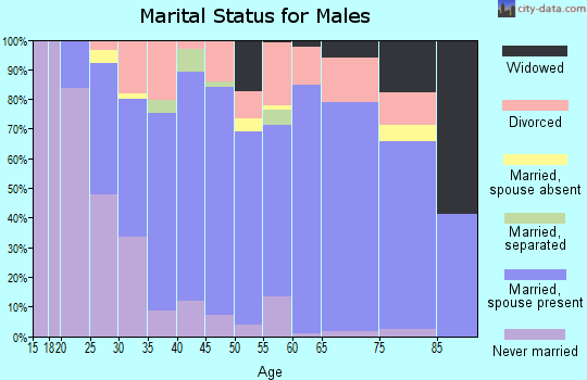 Zip code 37615 marital status for males