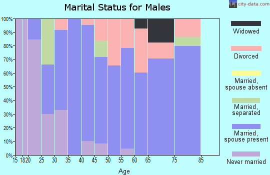 Zip code 37616 marital status for males