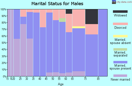 Zip code 37658 marital status for males