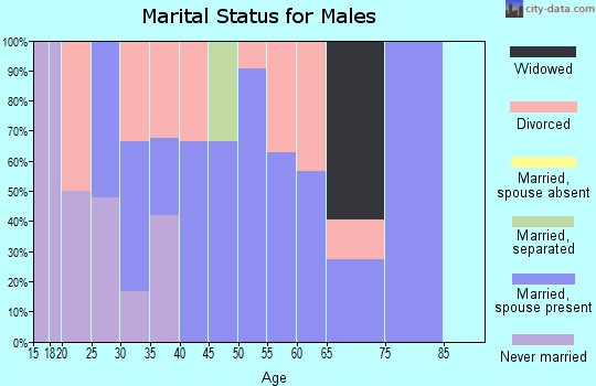 Zip code 37710 marital status for males