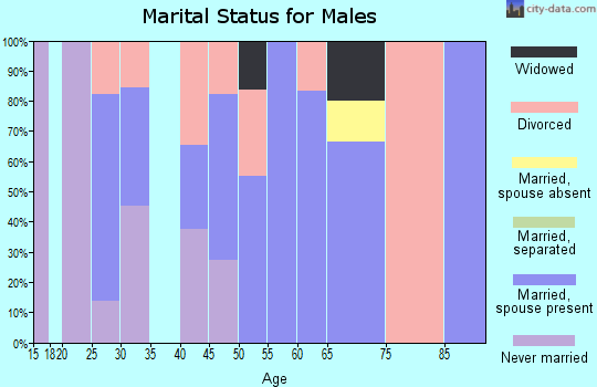 Zip code 37713 marital status for males