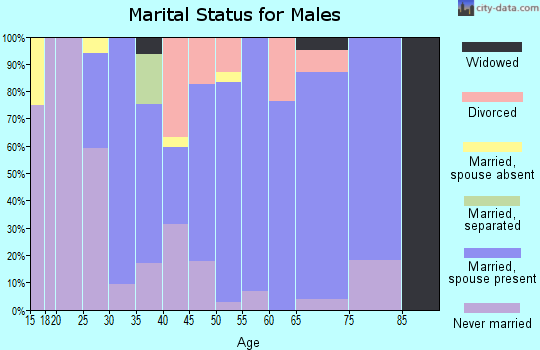 Zip code 37714 marital status for males