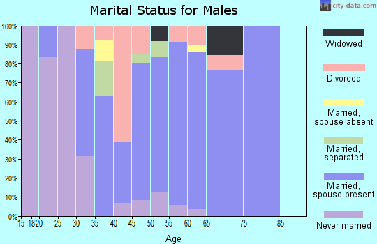 Zip code 37723 marital status for males