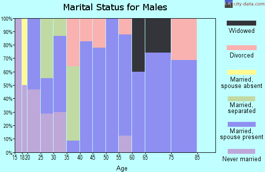 Zip code 37729 marital status for males