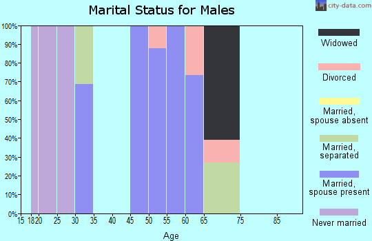 Zip code 37731 marital status for males