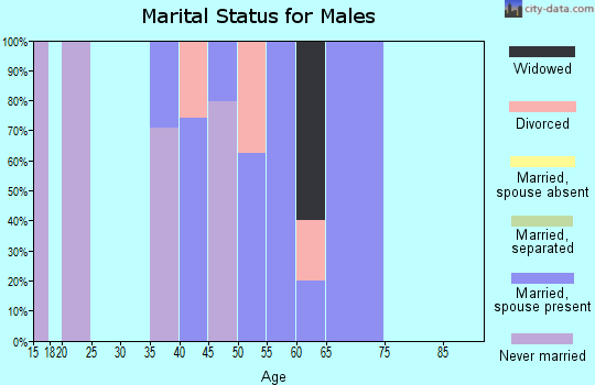 Zip code 37765 marital status for males