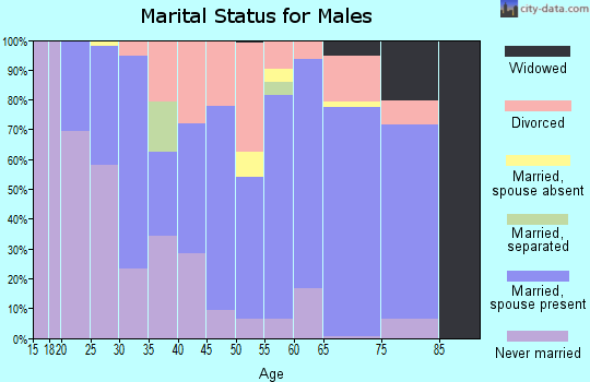 Zip code 37777 marital status for males