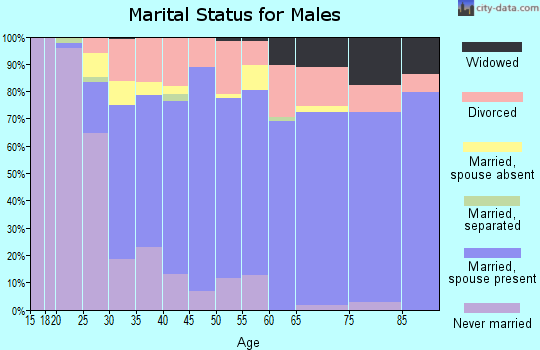 Zip code 37801 marital status for males