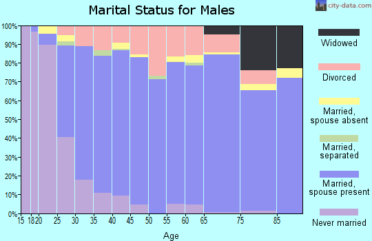Zip code 37803 marital status for males