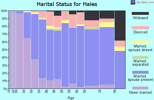 Zip code 37804 marital status for males