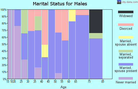 Zip code 37806 marital status for males