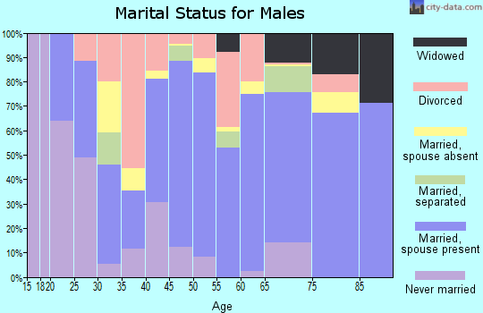 Zip code 37807 marital status for males