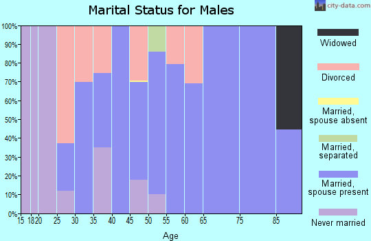 Zip code 37809 marital status for males