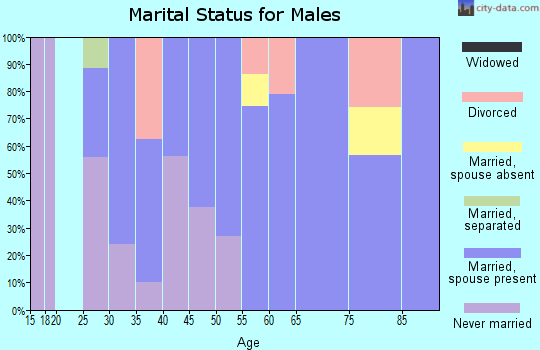 Zip code 37810 marital status for males