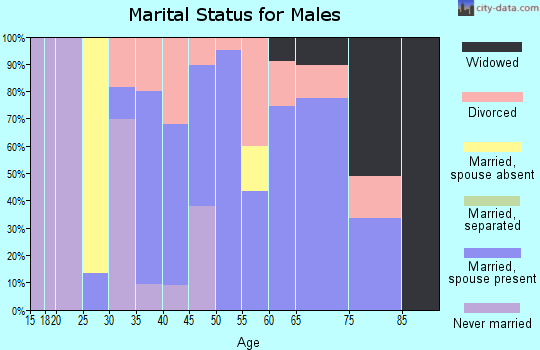 Zip code 37811 marital status for males