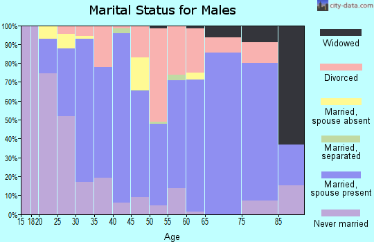 Zip code 37813 marital status for males