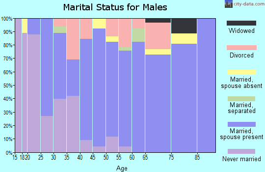 Zip code 37818 marital status for males