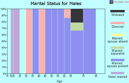 Zip code 37819 marital status for males