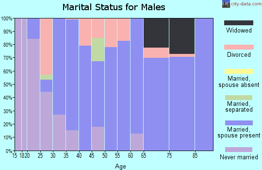 Zip code 37826 marital status for males