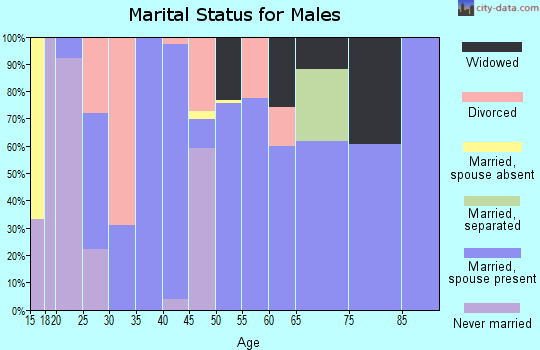 Zip code 37829 marital status for males