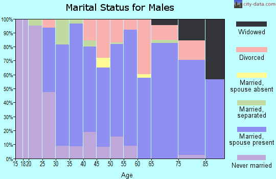 Zip code 37840 marital status for males