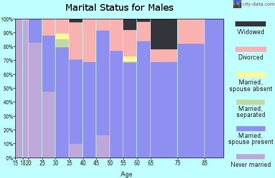 Zip code 37843 marital status for males