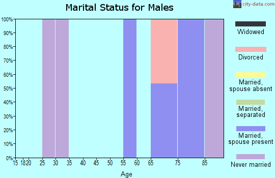 Zip code 37848 marital status for males
