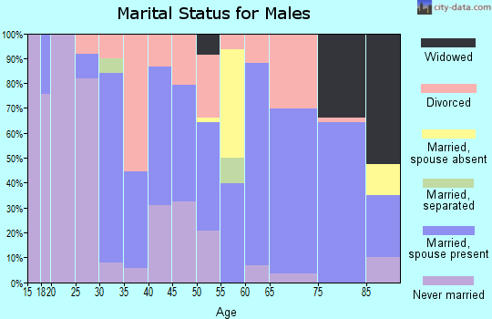 Zip code 37853 marital status for males