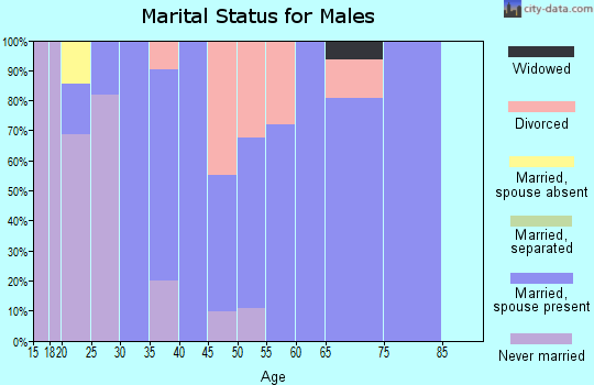 Zip code 37860 marital status for males