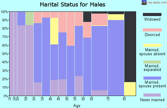 Zip code 37863 marital status for males