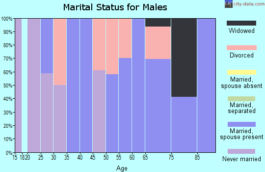 Zip code 37866 marital status for males