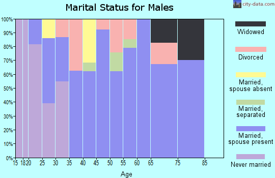Zip code 37888 marital status for males